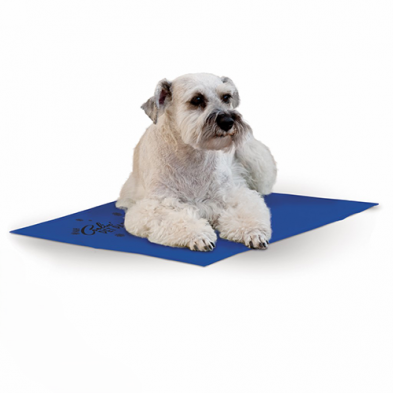 Tapis Rafraichissant pour Chiens Bleu 'Cool Bed III'