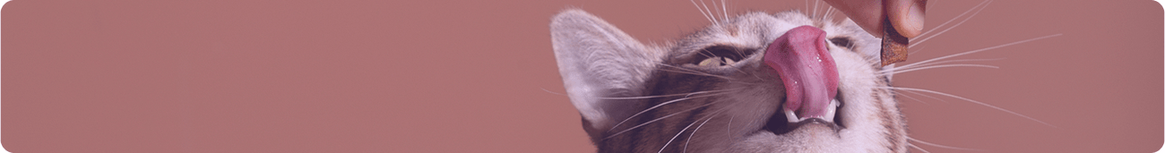 Nourriture pour chat - Moi & Mon Humain