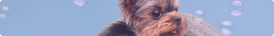 Brosses / Peignes / Coupe - Griffe