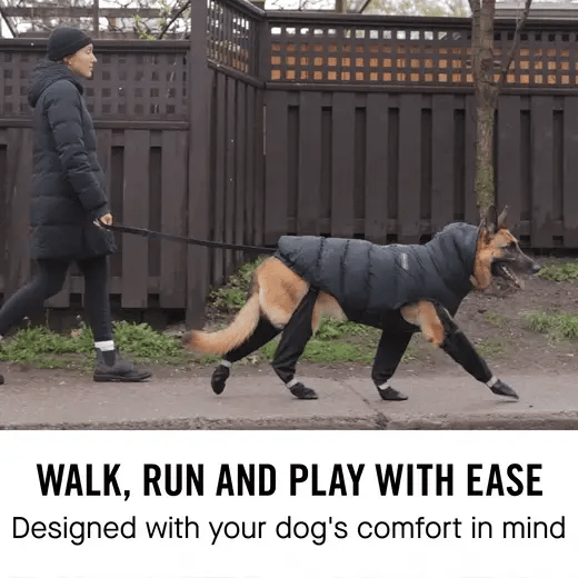 Bottes Pour Chien ''Suspender boot'' - Canada Pooch