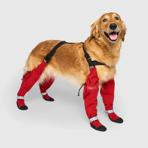 Bottes Pour Chien ''Suspender boot'' - Canada Pooch