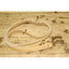 Laisse d'entrainement 5 positions 3/4" X 72"