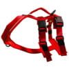 HARNAIS ATLAS ROUGE XL +/ - 46 lbs – 73 lbs - Moi & Mon Humain