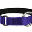 Collier pour chiens/ rembourré