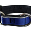 Collier pour chiens/ rembourré avec réflecteur