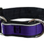 Collier pour chiens/ rembourré avec réflecteur