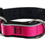 Collier pour chiens/ rembourré avec réflecteur