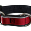 Collier pour chiens/ rembourré avec réflecteur