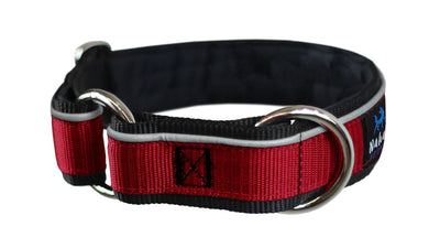 Collier pour chiens/ rembourré avec réflecteur