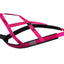 Harnais de Traction pour chiens