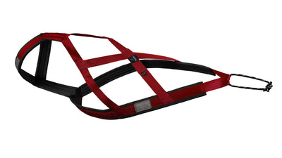 Harnais de Traction pour chiens