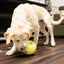 Jouet Interactif Kong ''Tennis''