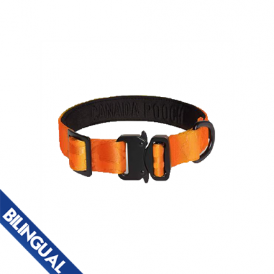 Canada Pooch® Utility Collar Orange Medium