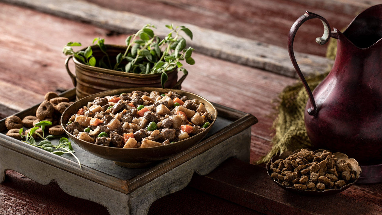 Nourriture En Conserve Pour Chien *Boeuf Frommbalaya* - Fromm