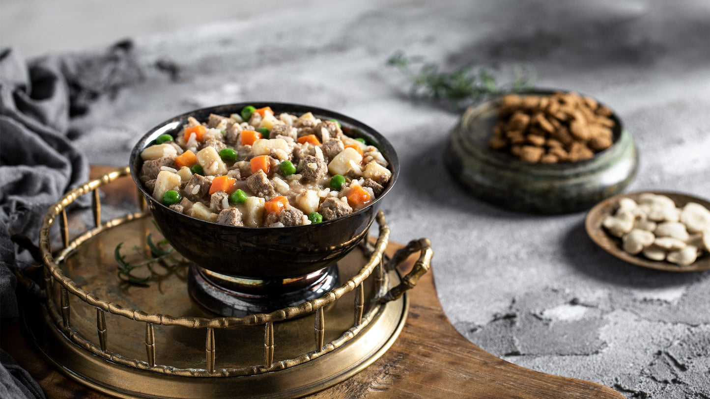 Nourriture En Conserve Pour Chien *Poulet Frommbalaya* - Fromm