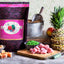Nourriture Sèche Pour Chien Sans Grains *Porc et Pois* - Fromm Four-Star