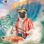 Nourriture Sèche Pour Chien Sans Grains *Porc et Pois* - Fromm Four-Star