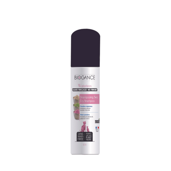 Shampoing sec sans rinçage pour chat