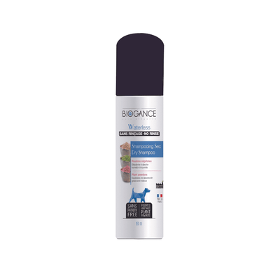 Shampoing sec sans rinçage pour chien