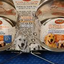Bol double en acier inoxydable pour chiens
