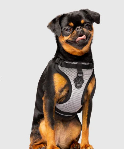 Harnais 3 en 1 Canada Pooch Réflecteur