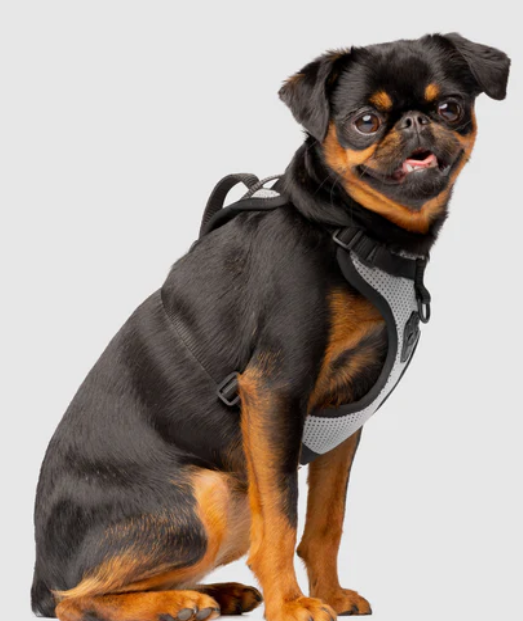Harnais 3 en 1 Canada Pooch Réflecteur