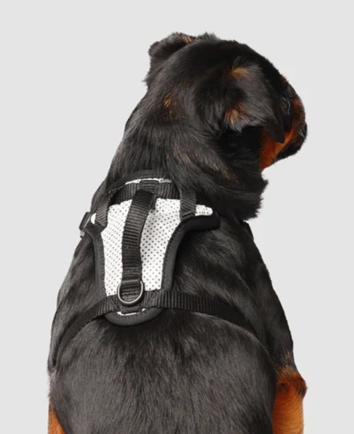 Harnais 3 en 1 Canada Pooch Réflecteur