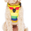 Harnais 3 en 1 Canada Pooch Arc-en-Ciel