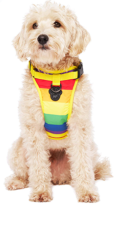 Harnais 3 en 1 Canada Pooch Arc-en-Ciel