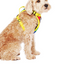 Harnais 3 en 1 Canada Pooch Arc-en-Ciel