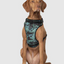 Harnais 3 en 1 Canada Pooch Camo