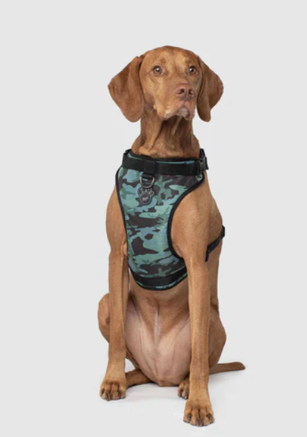 Harnais 3 en 1 Canada Pooch Camo