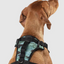 Harnais 3 en 1 Canada Pooch Camo