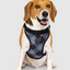 Harnais 3 en 1 Canada Pooch Carrroté Gris et Rouge
