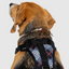 Harnais 3 en 1 Canada Pooch Carrroté Gris et Rouge