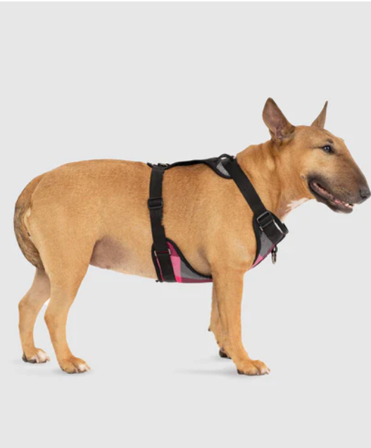 Harnais 3 en 1 Canada Pooch Carrroté Rose