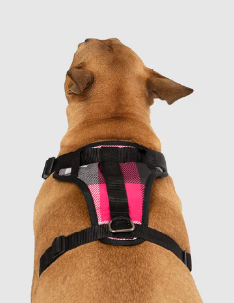 Harnais 3 en 1 Canada Pooch Carrroté Rose