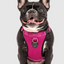 Harnais 3 en 1 Canada Pooch Magenta