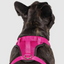 Harnais 3 en 1 Canada Pooch Magenta