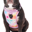 Harnais 3 en 1 Canada Pooch Multicolore