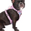 Harnais 3 en 1 Canada Pooch Multicolore