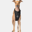 Harnais 3 en 1 Canada Pooch Noir