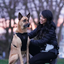 Harnais 3 en 1 Canada Pooch Noir