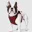 Harnais 3 en 1 Canada Pooch Rouge
