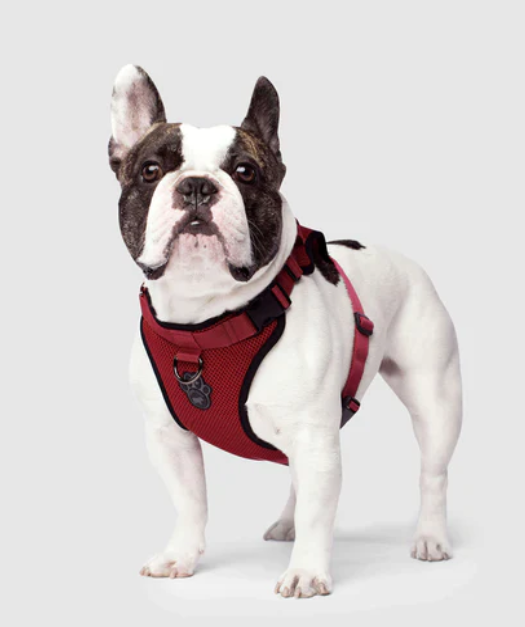 Harnais 3 en 1 Canada Pooch Rouge