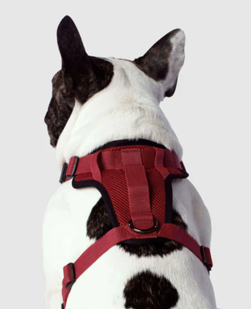 Harnais 3 en 1 Canada Pooch Rouge