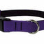 Collier Nahak pour chiens/ rembourré avec clip