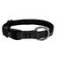 Collier Nahak pour chiens/ rembourré avec clip