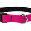 Collier Nahak pour chiens/ rembourré avec clip