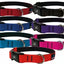 Collier Nahak pour chiens/ rembourré avec clip
